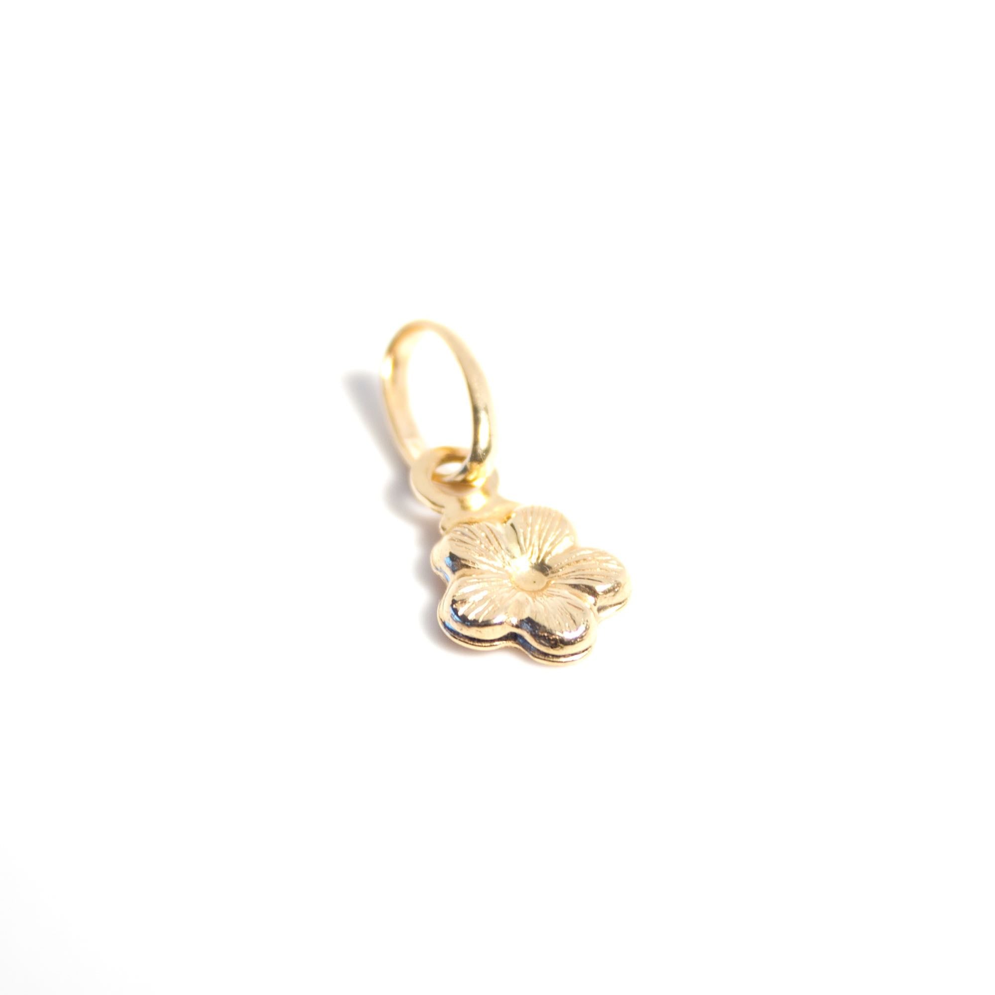 Flor oro amarillo