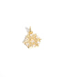 estrella oro amarillo flor edelweiss
