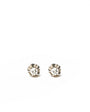 Aros Oro blanco chaton